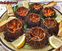 ANTIPASTO DI RICCI DI MARE ALLA GIGLIESE